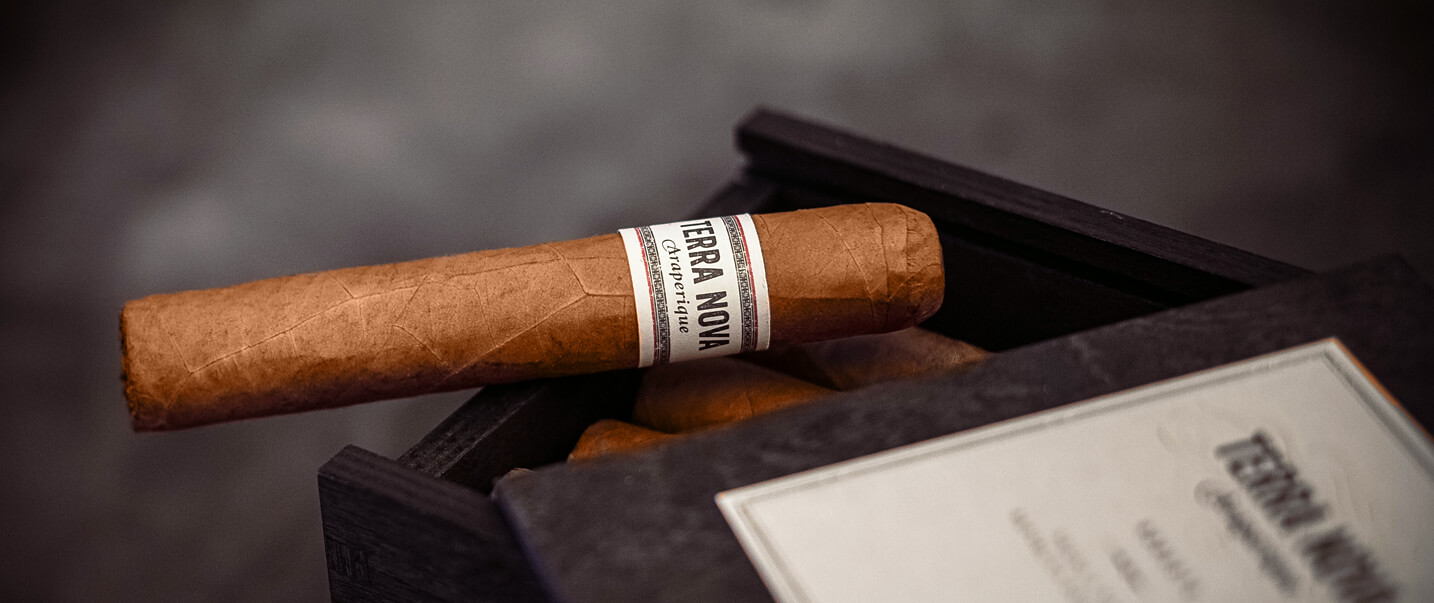 In detail: TERRA NOVA Araperique