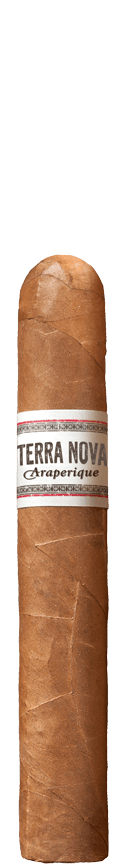 TERRA NOVA Araperique Robusto Cigar