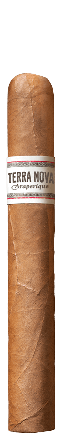TERRA NOVA Araperique Toro Cigar
