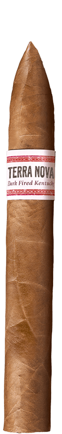 TERRA NOVA Araperique Belicoso cigar