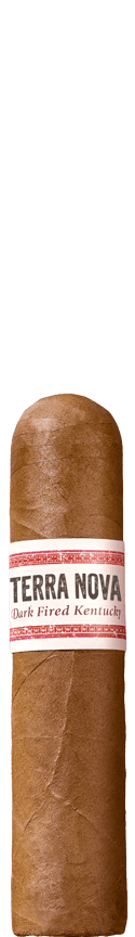 TERRA NOVA Araperique Short Robusto cigar
